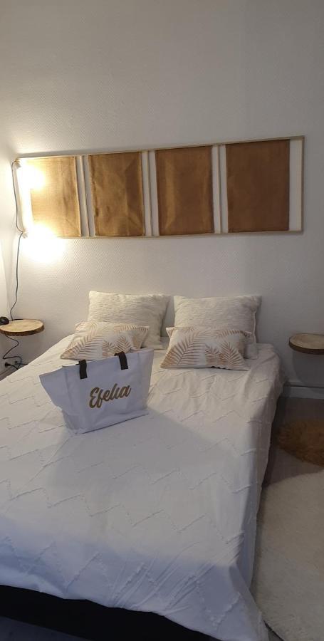 Maison Cosy Paris Orly Jardin Privee Вітрі-сюр-Сен Екстер'єр фото