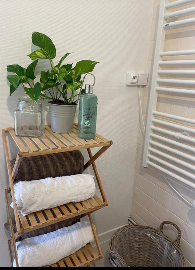 Maison Cosy Paris Orly Jardin Privee Вітрі-сюр-Сен Екстер'єр фото