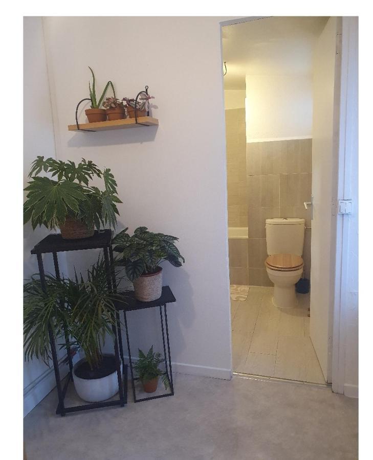 Maison Cosy Paris Orly Jardin Privee Вітрі-сюр-Сен Екстер'єр фото